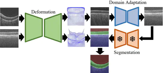 Structure and intensity unbiased translation for image segmentation
