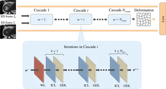 Learning a model-driven network for deformable image registration