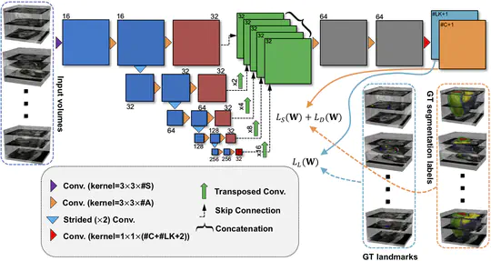 Automatic 3D bi-ventricular segmentation of cardiac images by a shape-refined deep learning approach