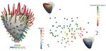Deep learning cardiac motion analysis for human survival prediction